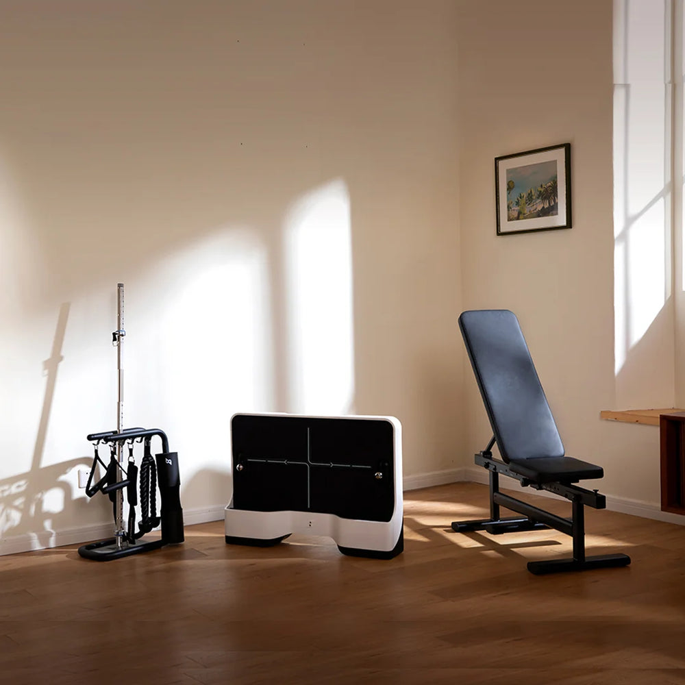 Speediance Gym Pal - FITNESS CASA