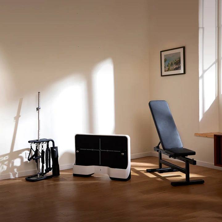 Speediance Gym Pal - FITNESS CASA