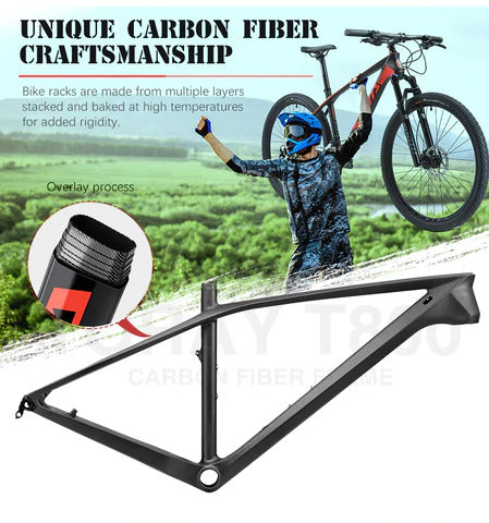gym equipment